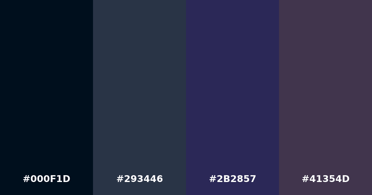 Color palette #000F1D #293446 #2B2857 #41354D