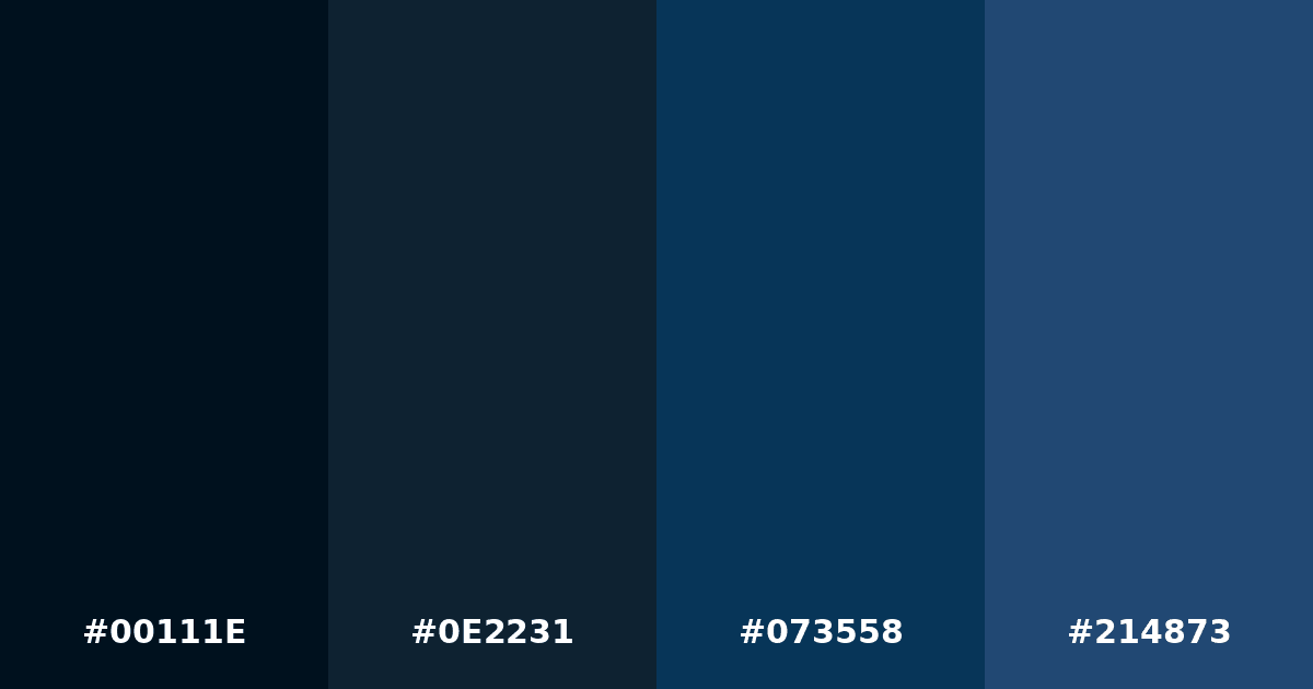 Color palette #00111E #0E2231 #073558 #214873