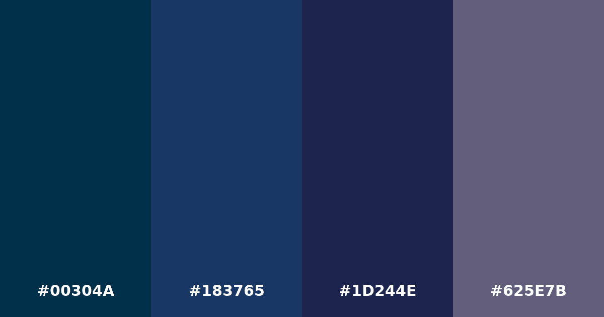 Color palette #00304A #183765 #1D244E #625E7B