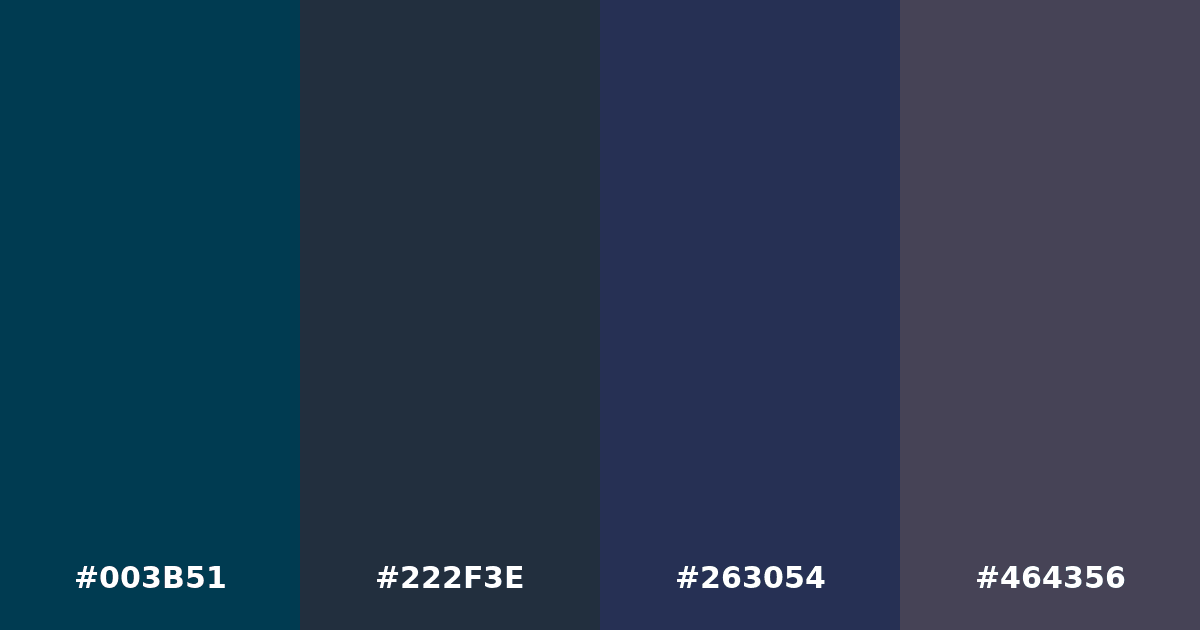 Color palette #003B51 #222F3E #263054 #464356