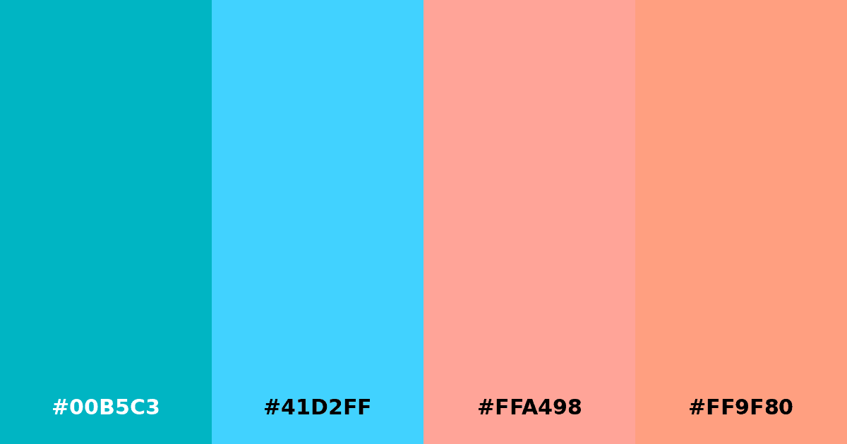 Color palette #00B5C3 #41D2FF #FFA498 #FF9F80
