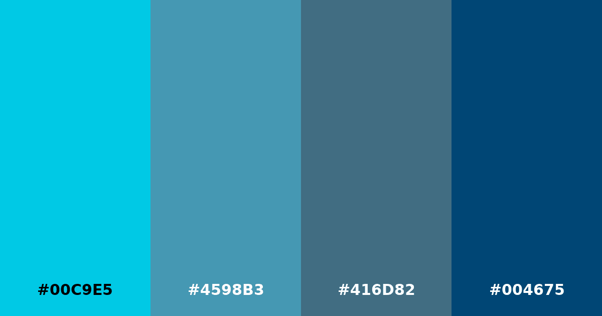 Color palette #00C9E5 #4598B3 #416D82 #004675