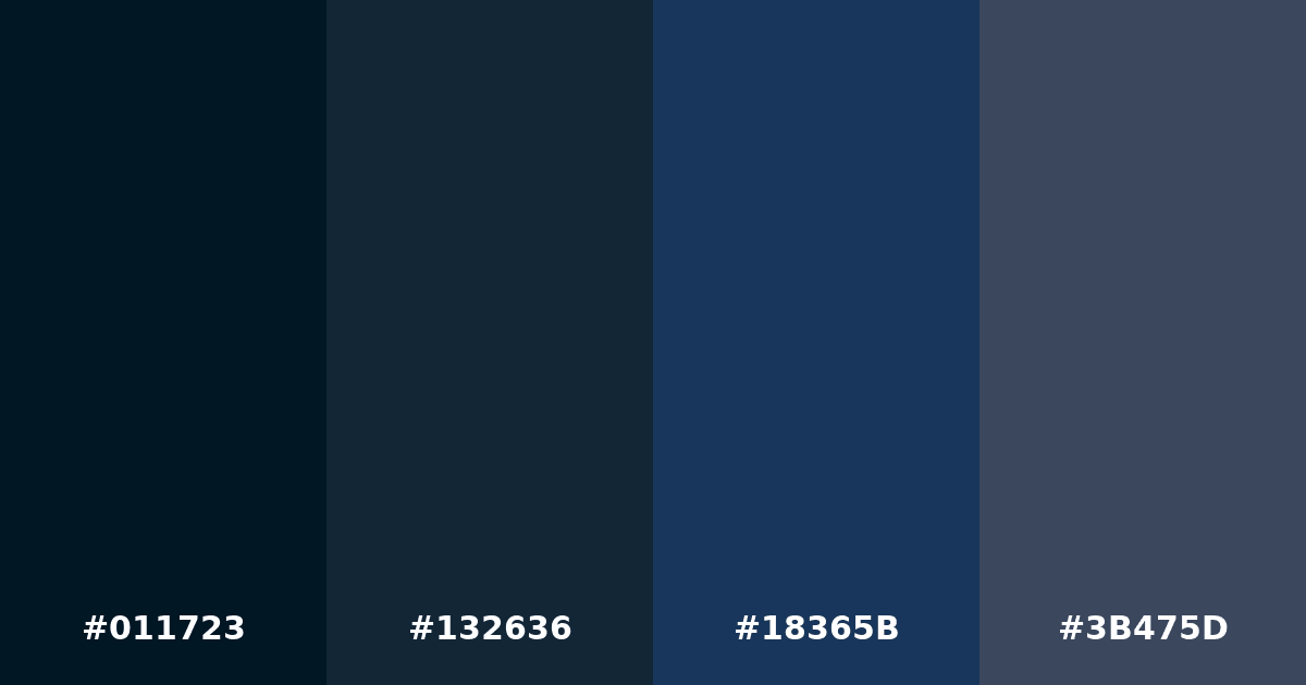 Color palette #011723 #132636 #18365B #3B475D