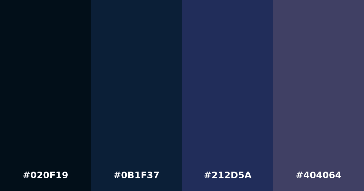 Color palette #020F19 #0B1F37 #212D5A #404064