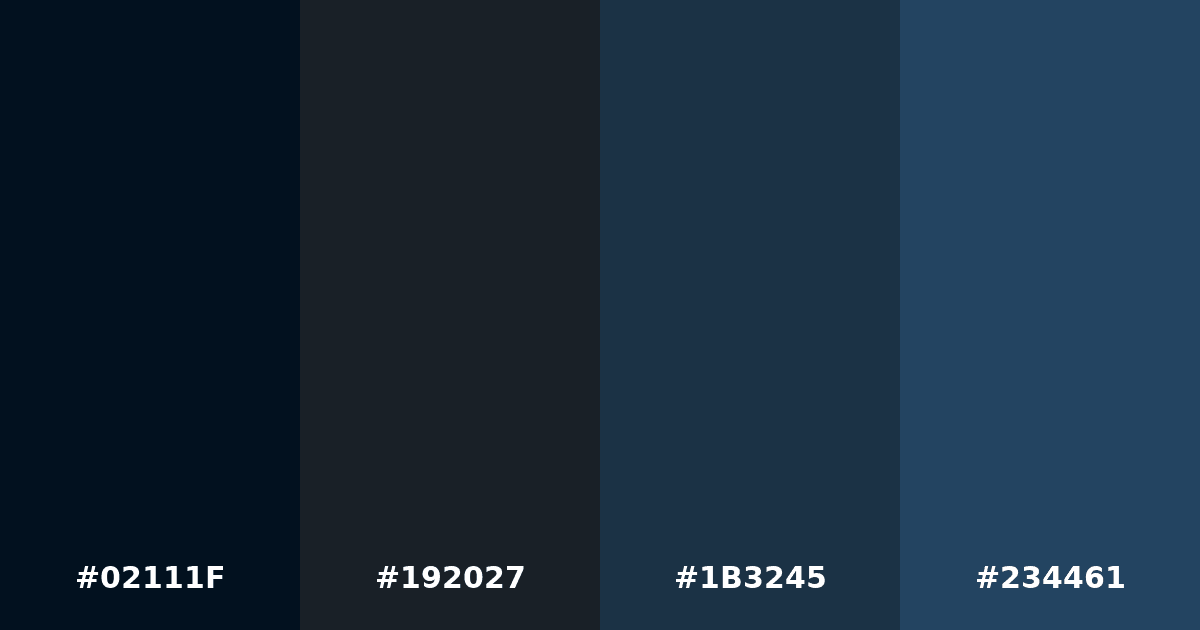 Color palette #02111F #192027 #1B3245 #234461