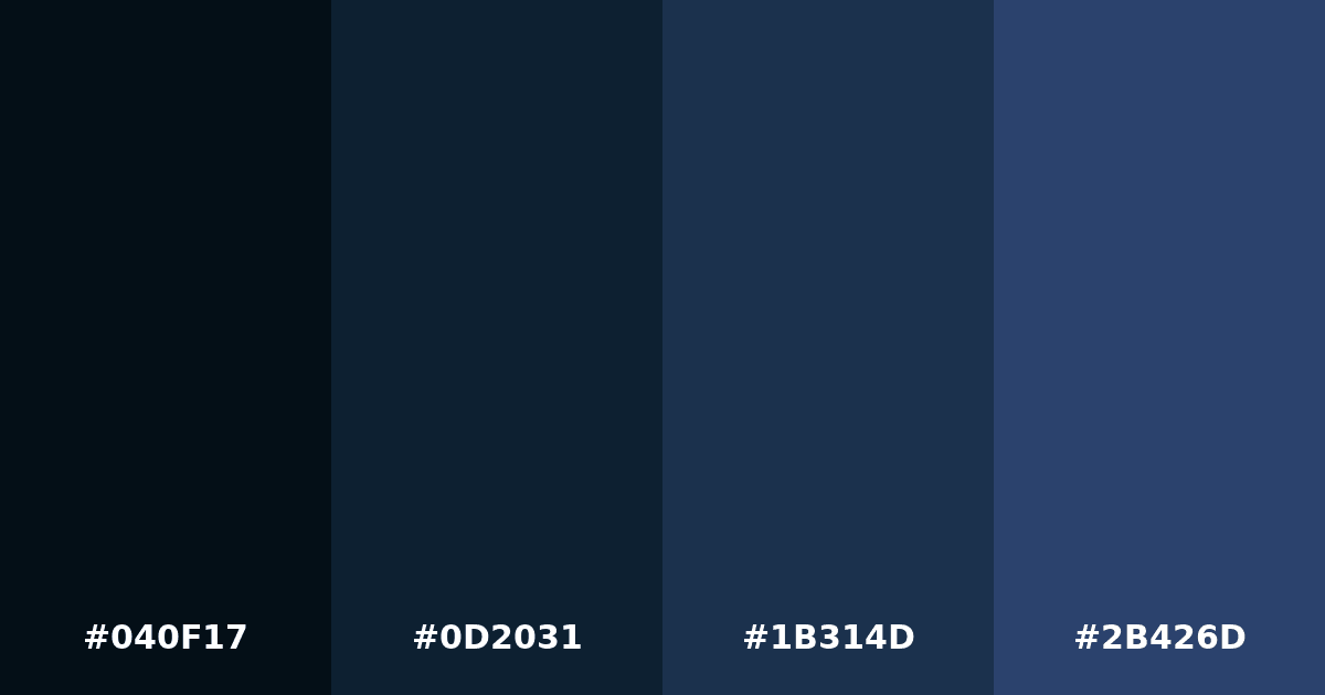 Color palette #040F17 #0D2031 #1B314D #2B426D
