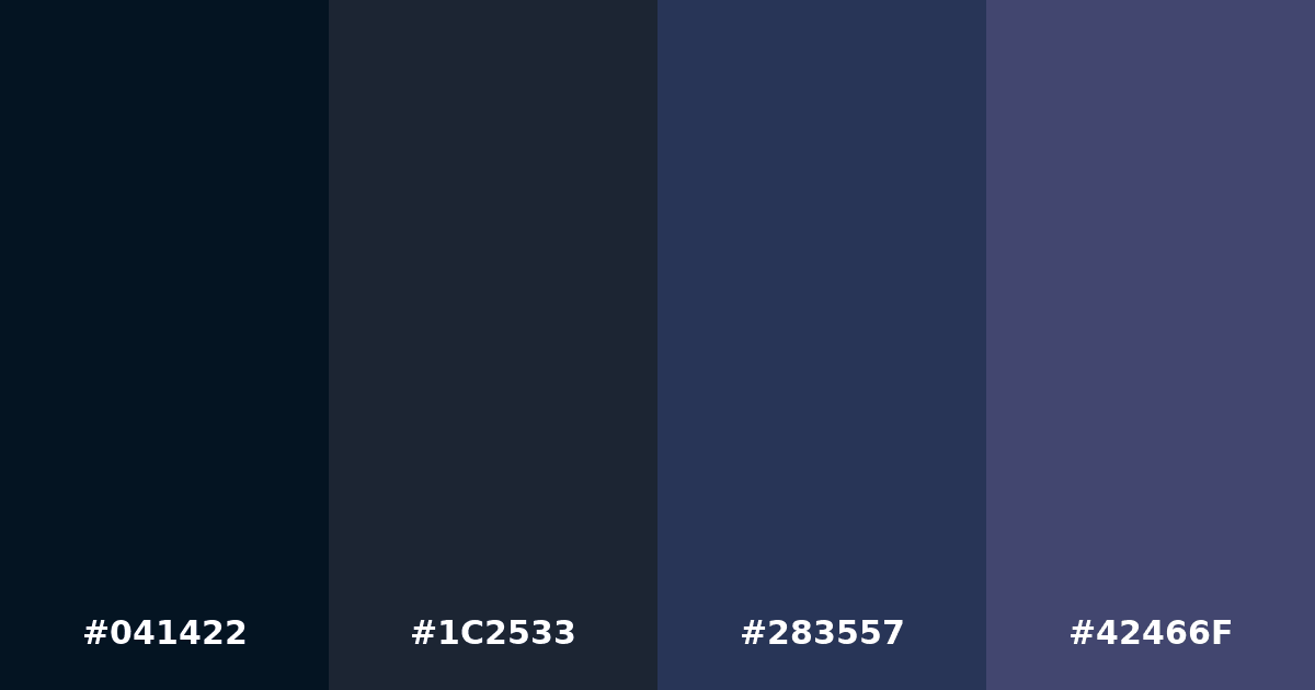 Color palette #041422 #1C2533 #283557 #42466F