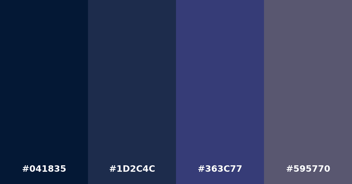 Color palette #041835 #1D2C4C #363C77 #595770