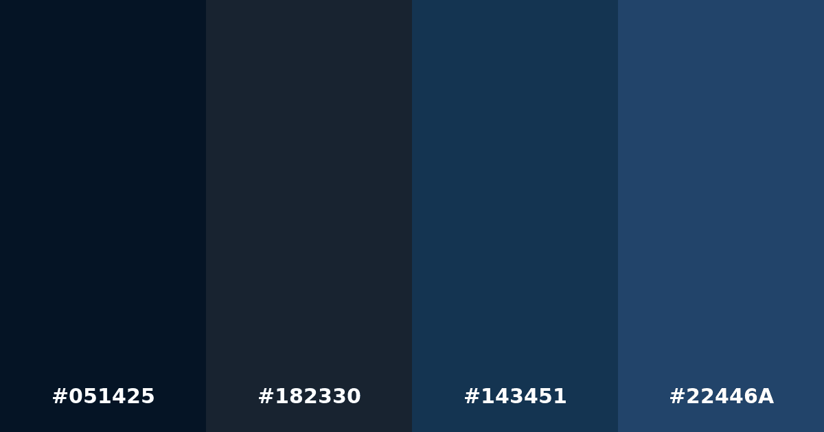 Color palette #051425 #182330 #143451 #22446A