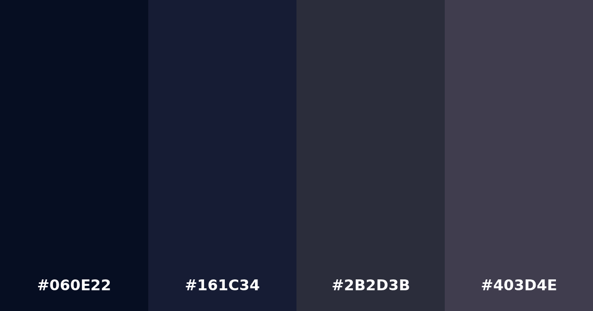 Color palette #060E22 #161C34 #2B2D3B #403D4E
