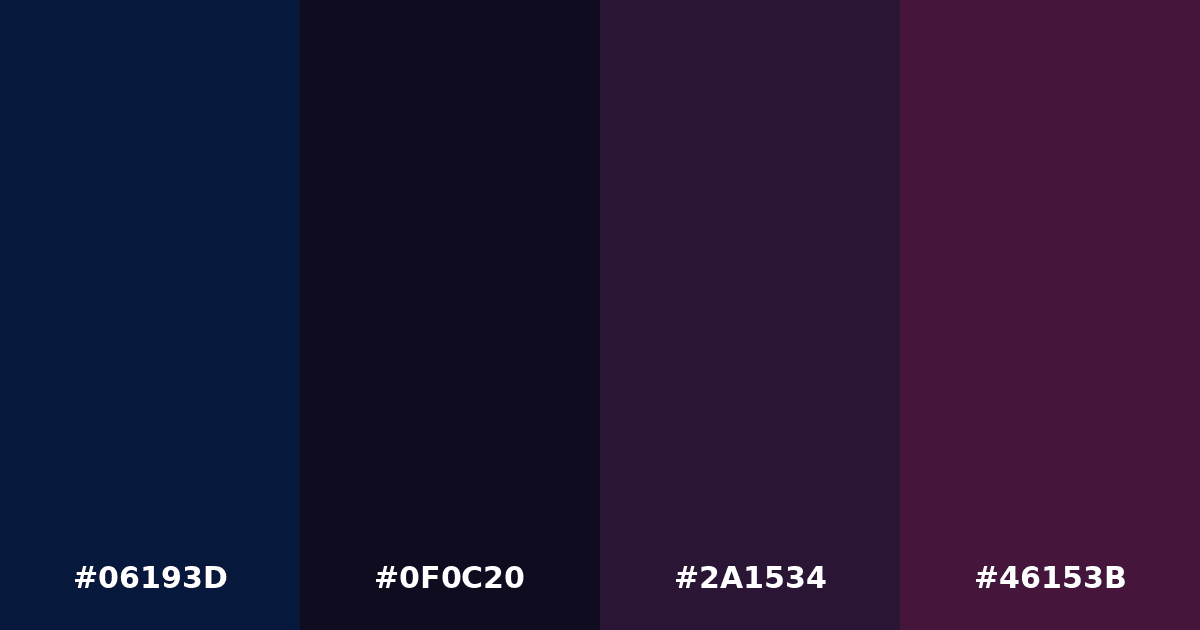 Color palette #06193D #0F0C20 #2A1534 #46153B
