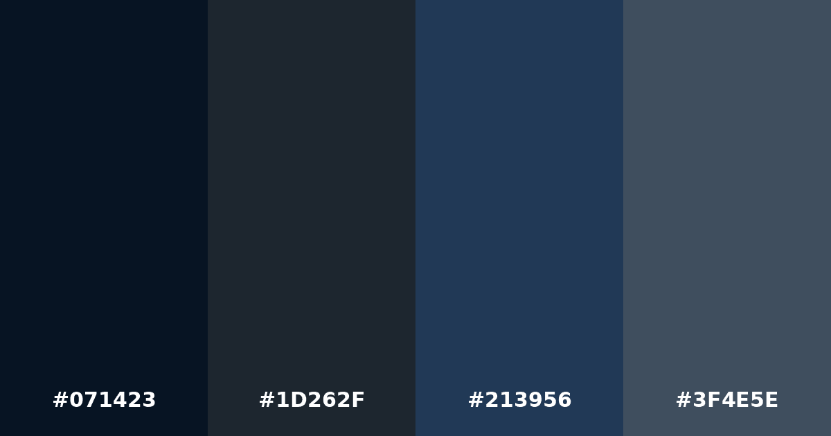 Color palette #071423 #1D262F #213956 #3F4E5E
