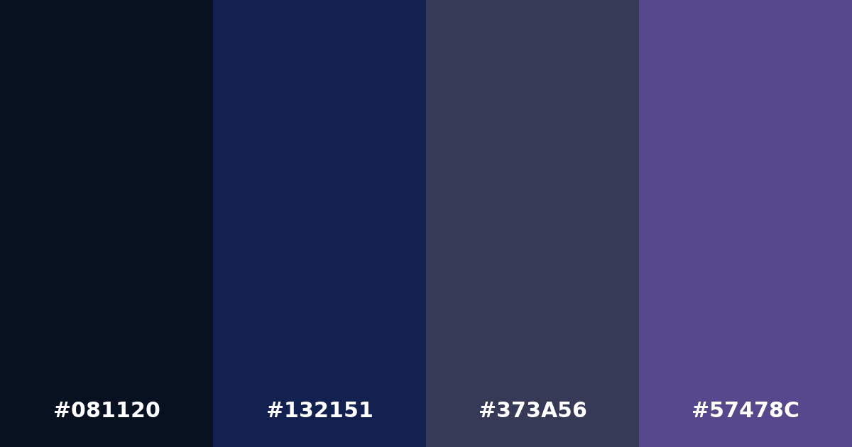 Color palette #081120 #132151 #373A56 #57478C