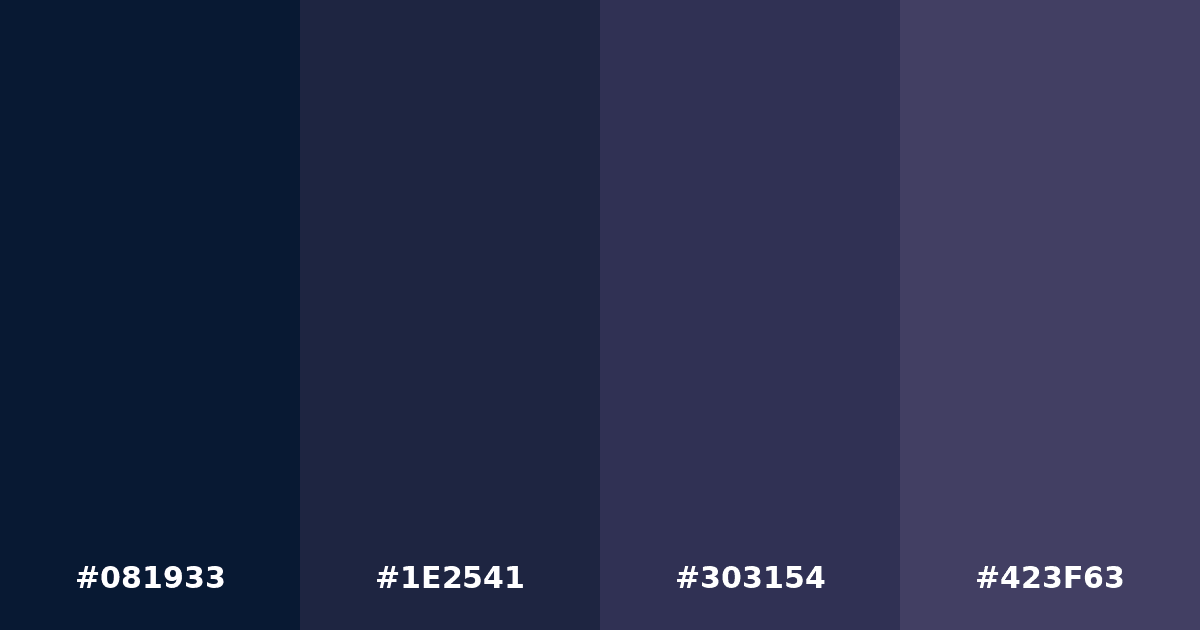 Color palette #081933 #1E2541 #303154 #423F63