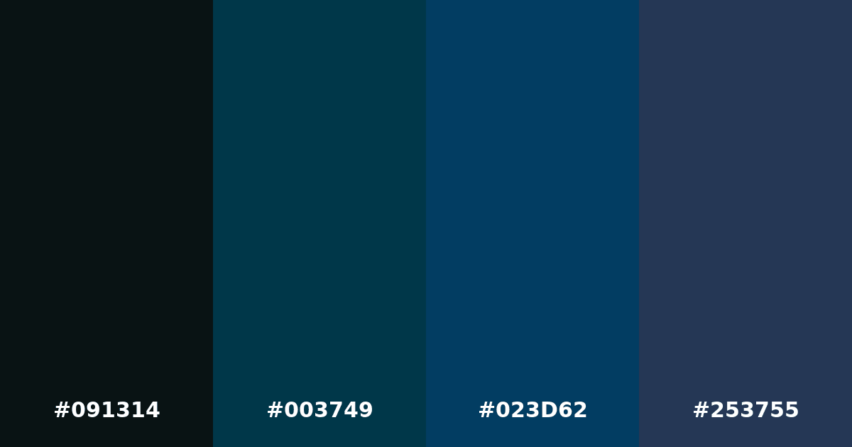 Color palette #091314 #003749 #023D62 #253755