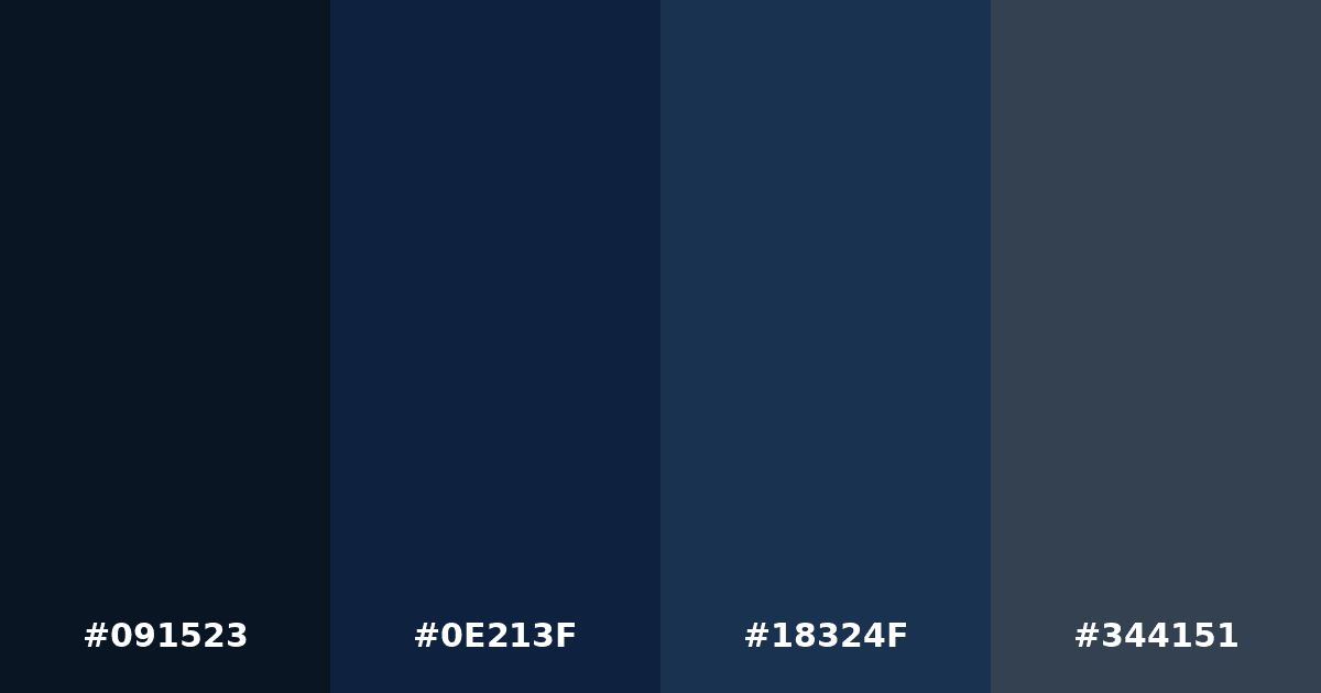 Color palette #091523 #0E213F #18324F #344151