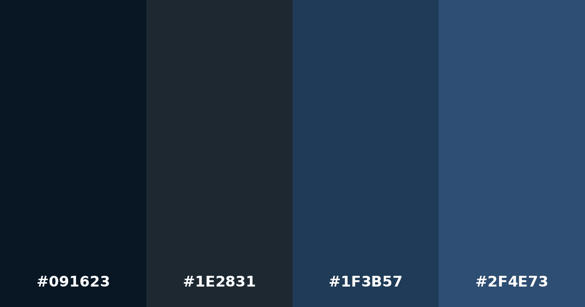 Color palette #091623 #1E2831 #1F3B57 #2F4E73