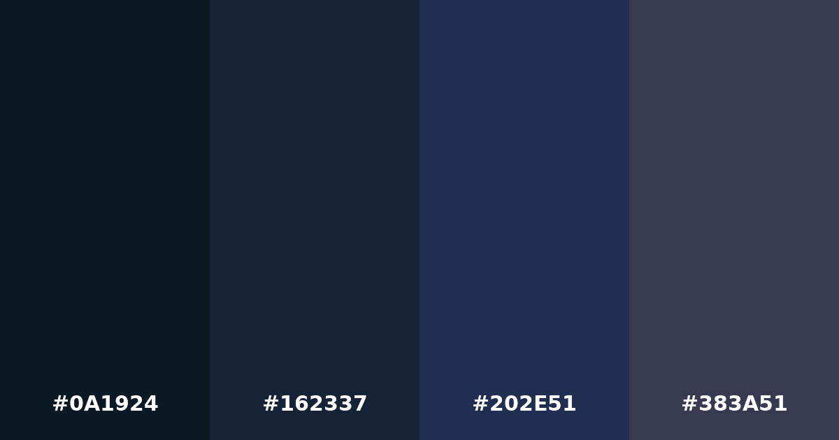 Color palette #0A1924 #162337 #202E51 #383A51