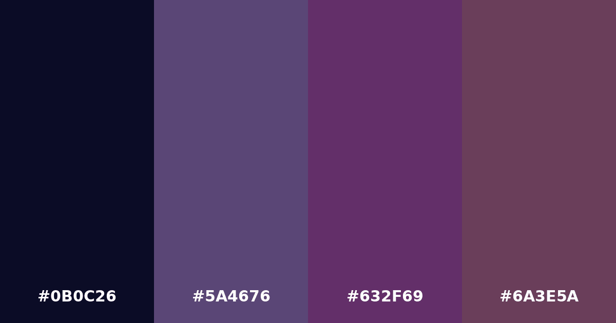 Color palette #0B0C26 #5A4676 #632F69 #6A3E5A