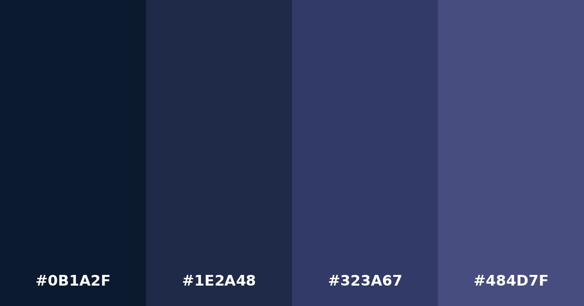 Color palette #0B1A2F #1E2A48 #323A67 #484D7F