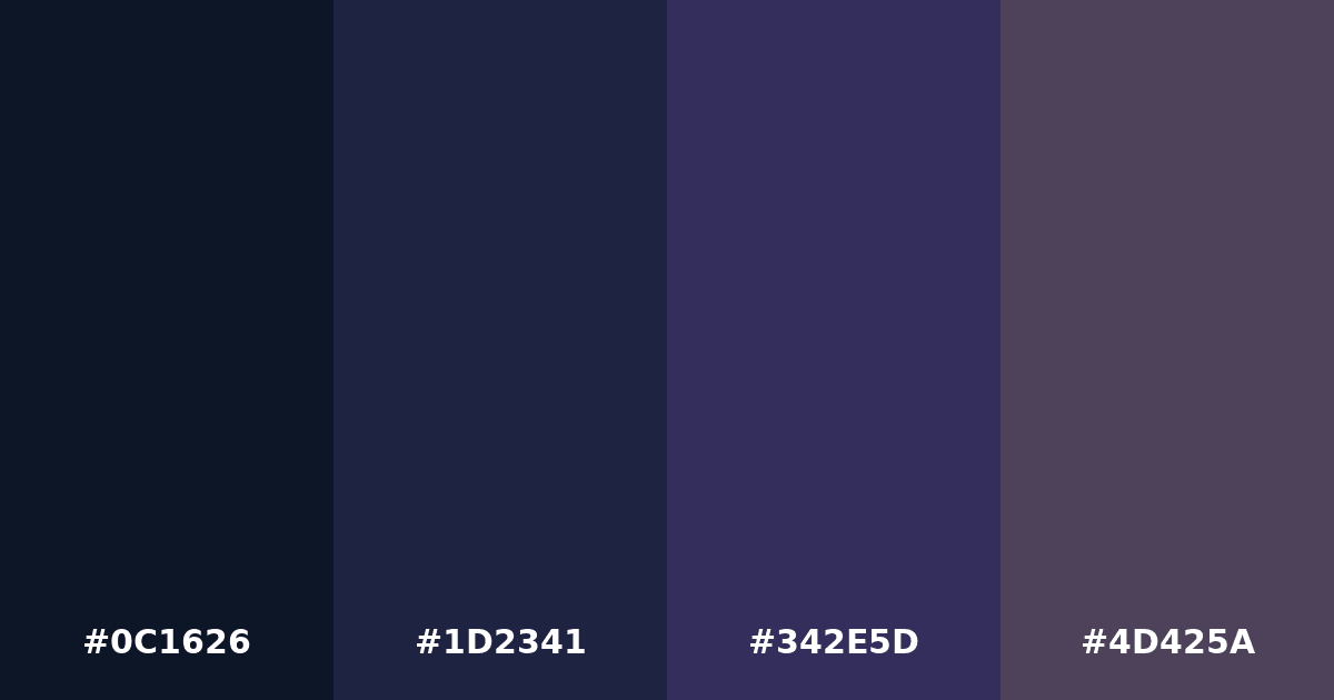 Color palette #0C1626 #1D2341 #342E5D #4D425A