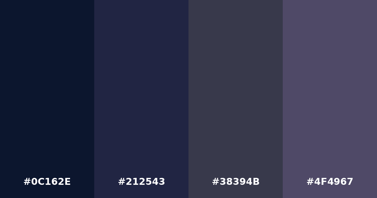 Color palette #0C162E #212543 #38394B #4F4967