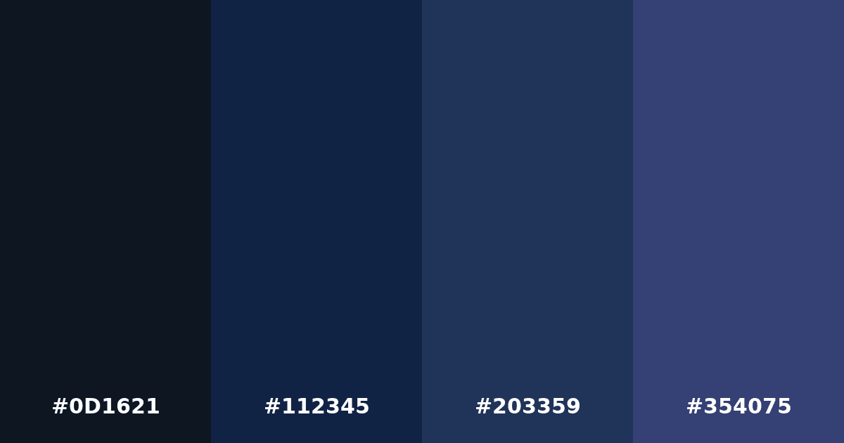 Color palette #0D1621 #112345 #203359 #354075