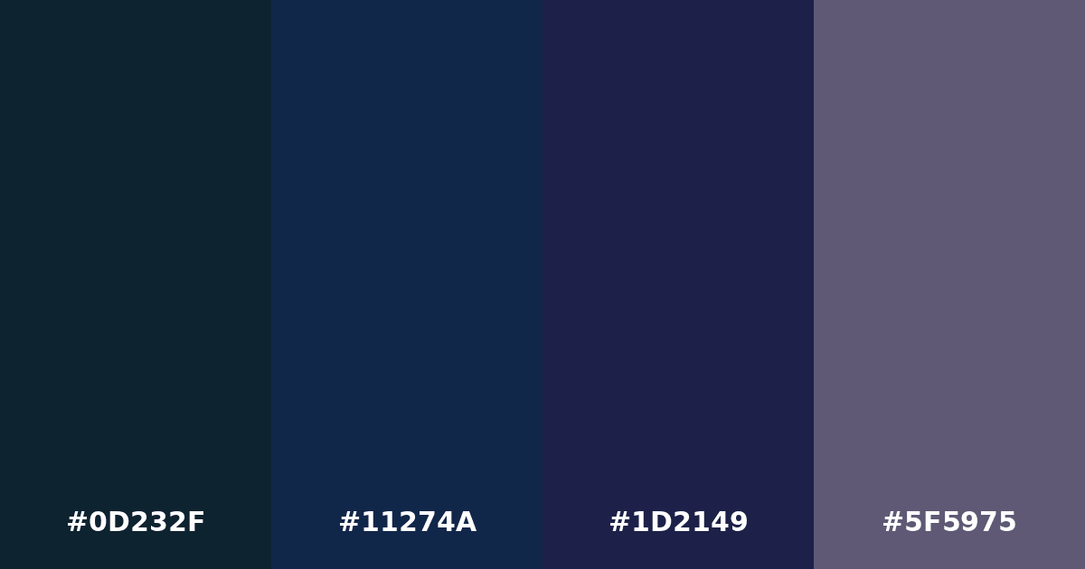 Color palette #0D232F #11274A #1D2149 #5F5975