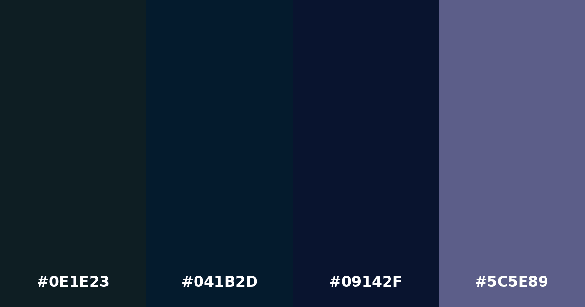 Color palette #0E1E23 #041B2D #09142F #5C5E89