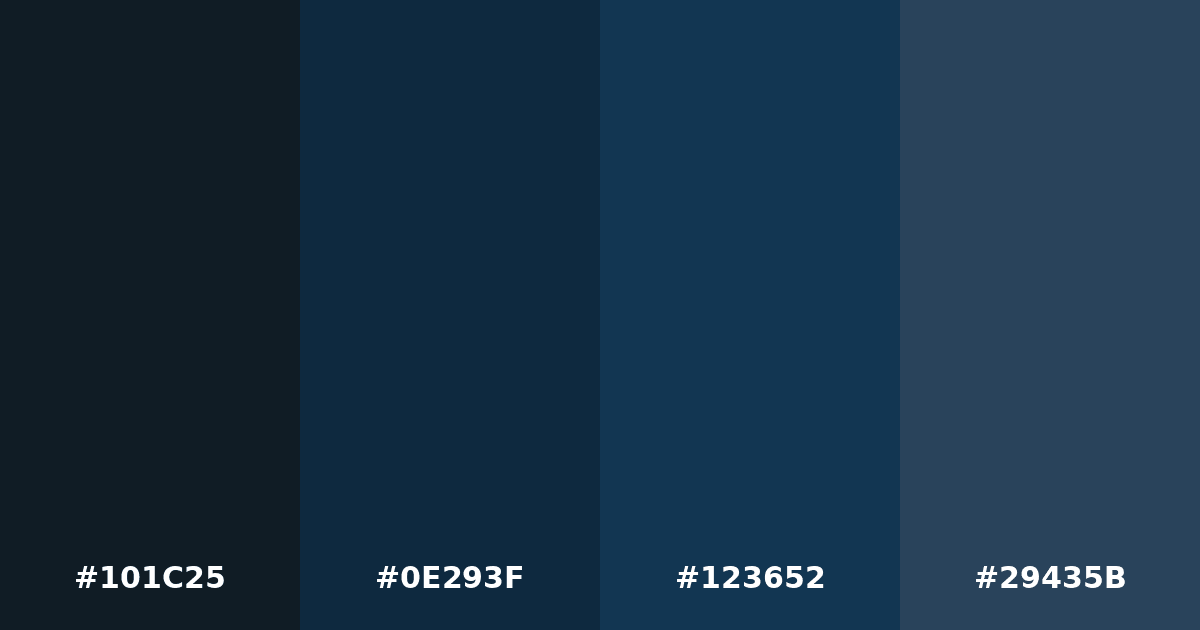Color palette #101C25 #0E293F #123652 #29435B