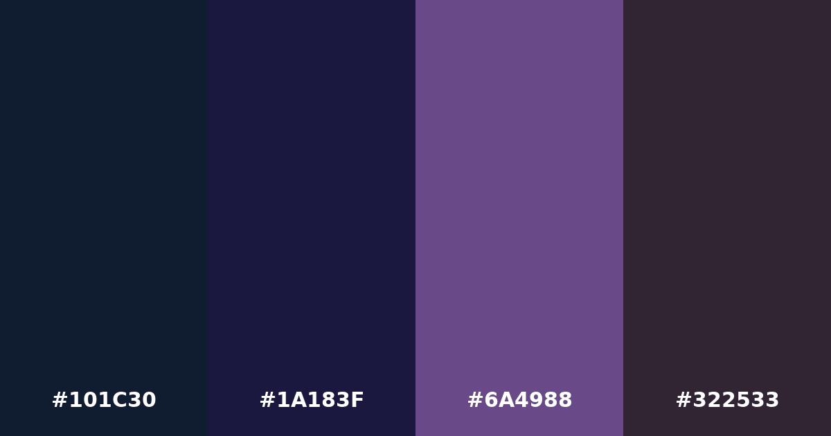 Color palette #101C30 #1A183F #6A4988 #322533