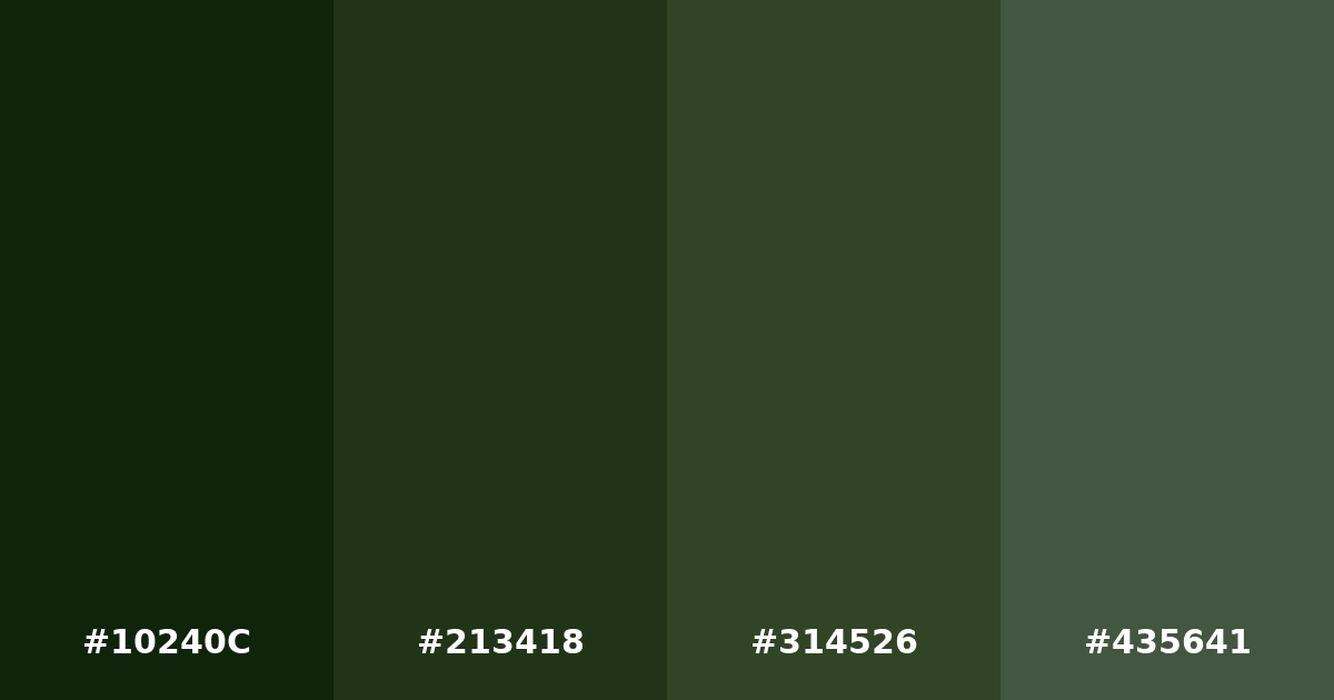 Color palette #10240C #213418 #314526 #435641