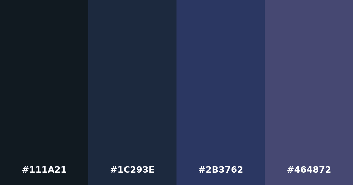 Color palette #111A21 #1C293E #2B3762 #464872