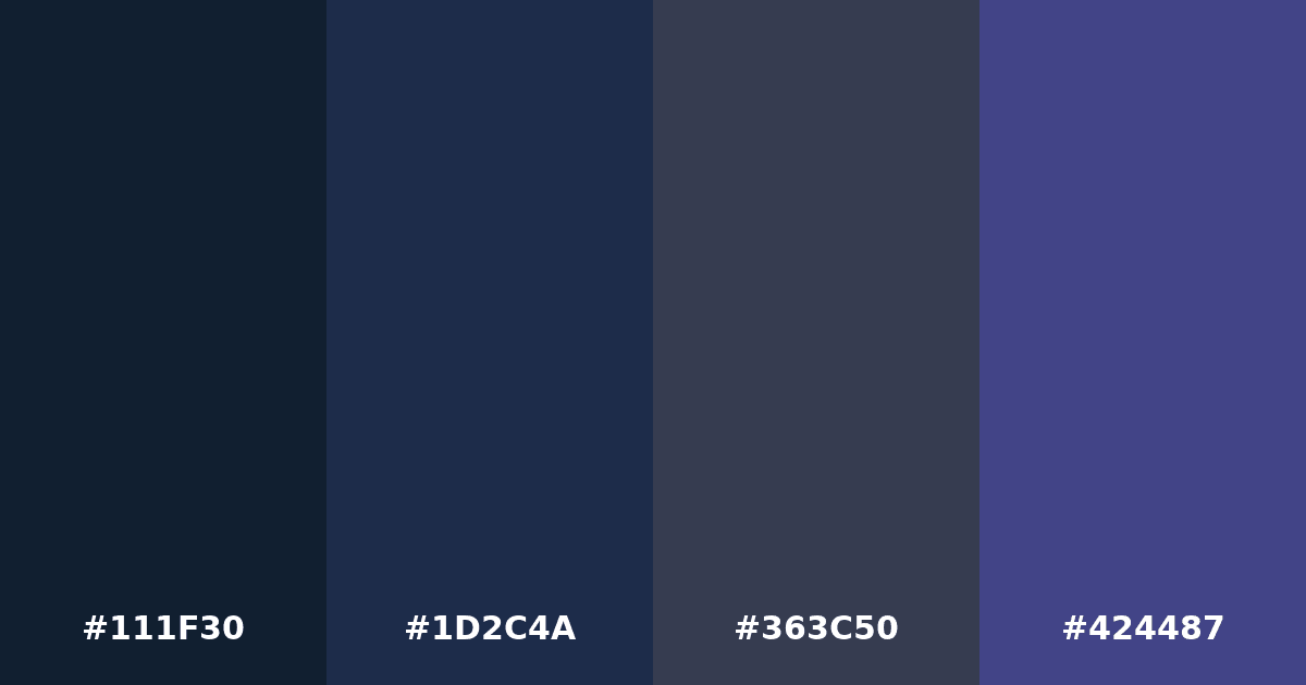Color palette #111F30 #1D2C4A #363C50 #424487