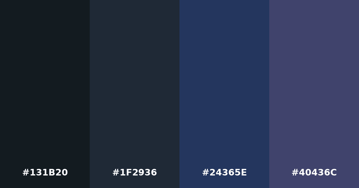 Color palette #131B20 #1F2936 #24365E #40436C