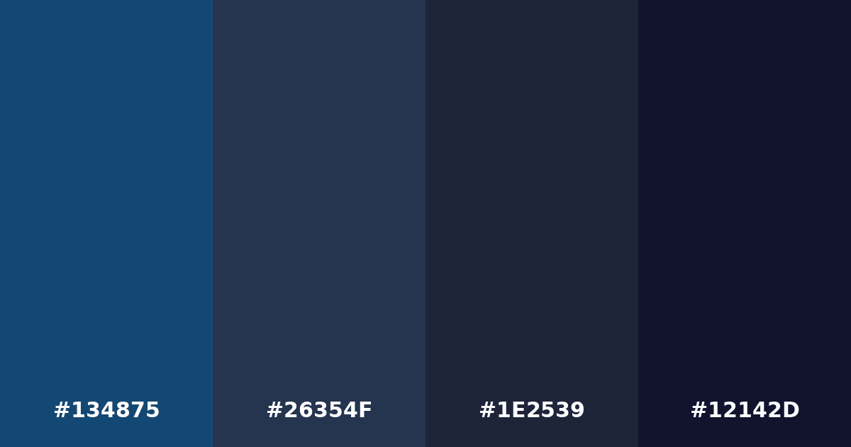 Color palette #134875 #26354F #1E2539 #12142D