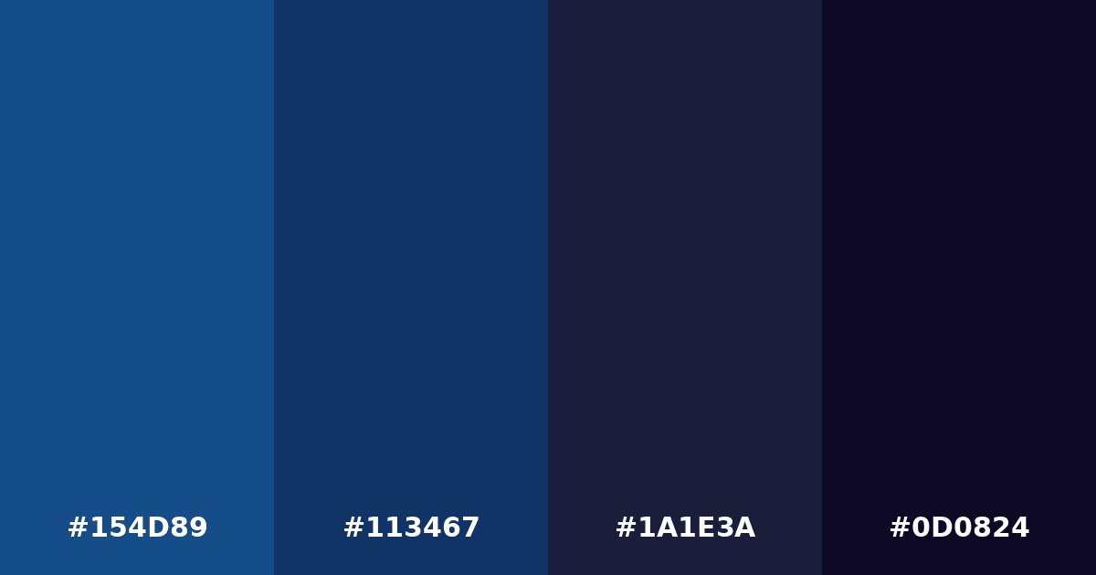 Color palette #154D89 #113467 #1A1E3A #0D0824