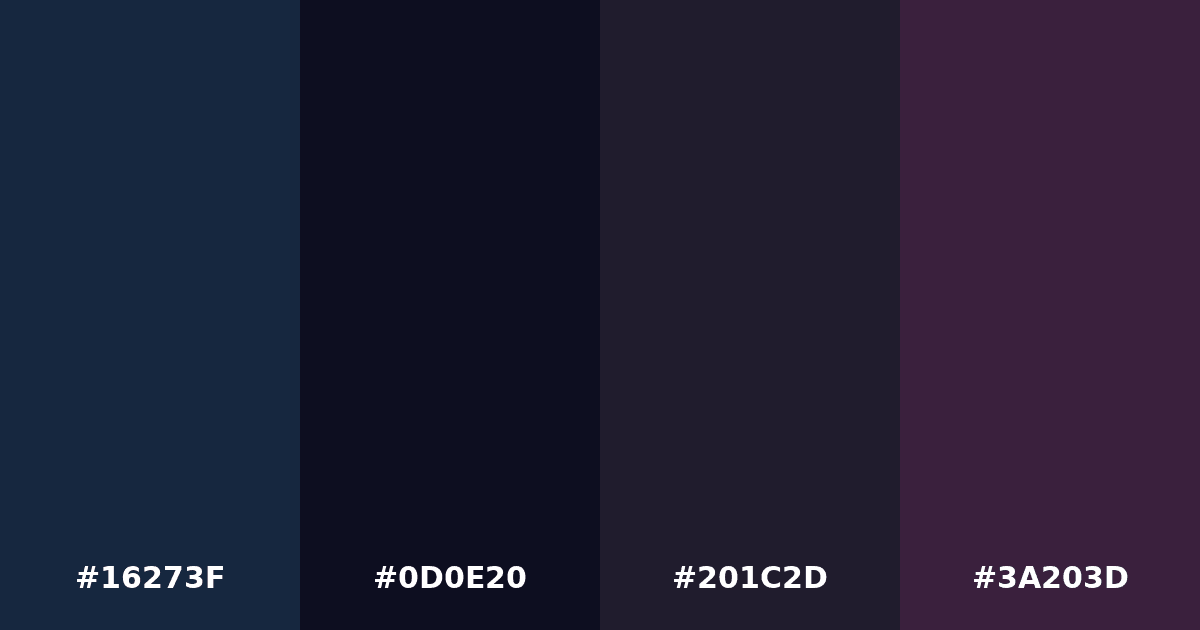 Color palette #16273F #0D0E20 #201C2D #3A203D