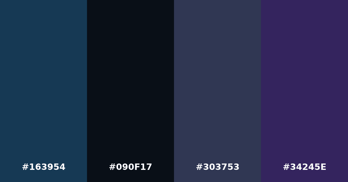 Color palette #163954 #090F17 #303753 #34245E