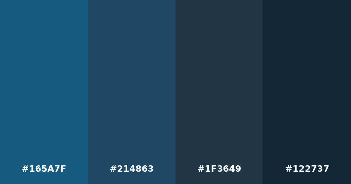 Color palette #165A7F #214863 #1F3649 #122737