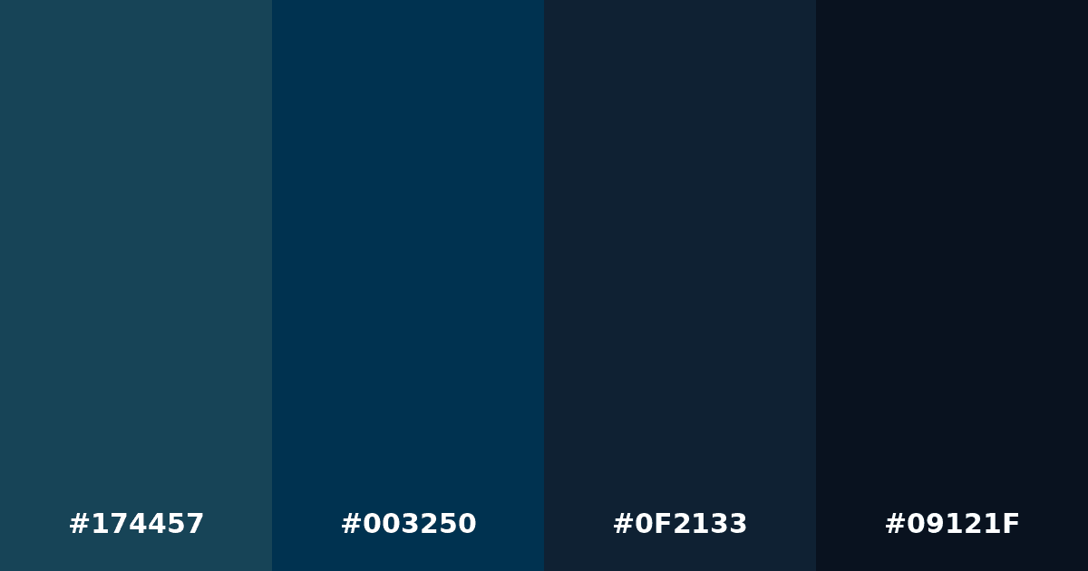 Color palette #174457 #003250 #0F2133 #09121F