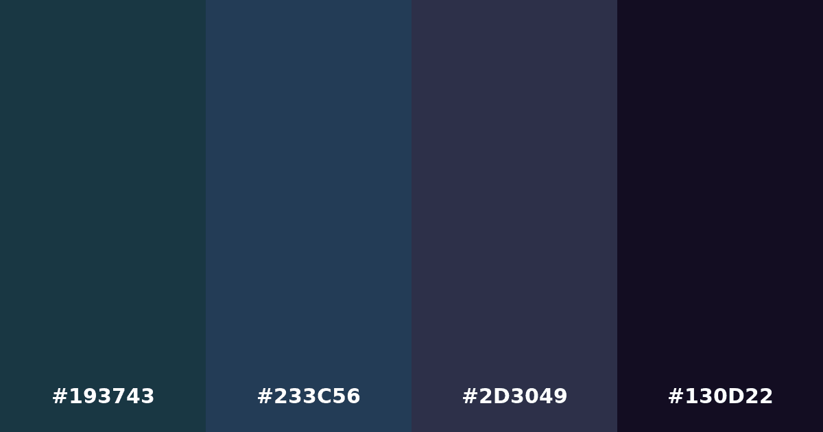 Color palette #193743 #233C56 #2D3049 #130D22