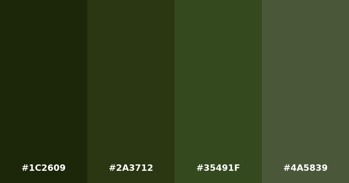 Color palette #1C2609 #2A3712 #35491F #4A5839