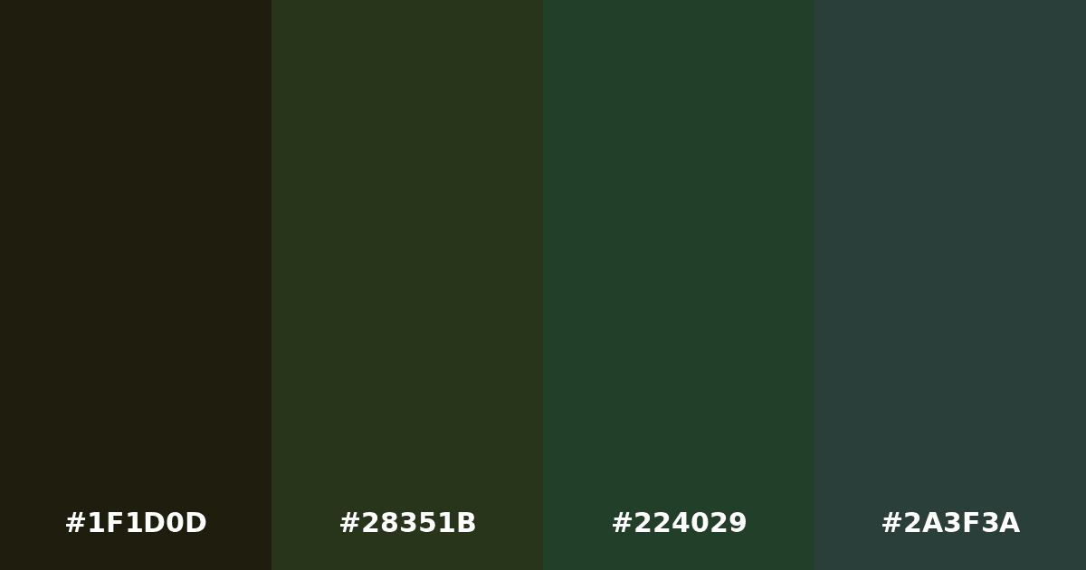 Color palette #1F1D0D #28351B #224029 #2A3F3A