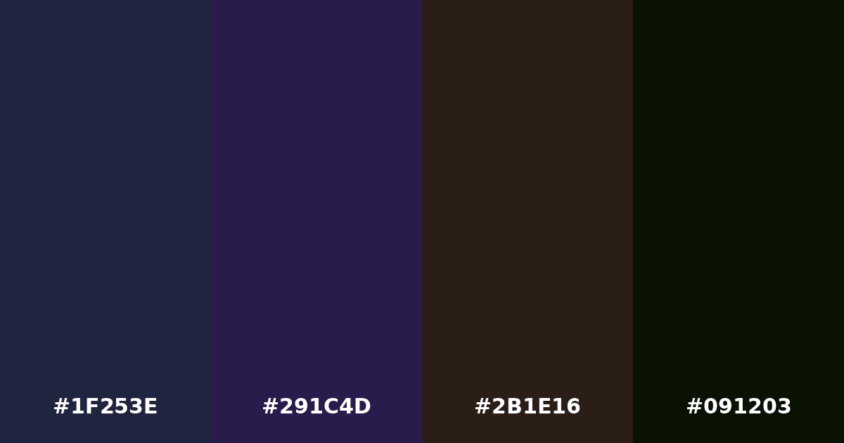 Color palette #1F253E #291C4D #2B1E16 #091203
