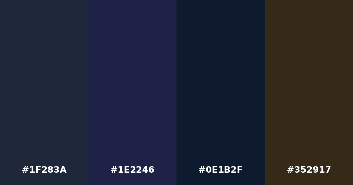 Color palette #1F283A #1E2246 #0E1B2F #352917