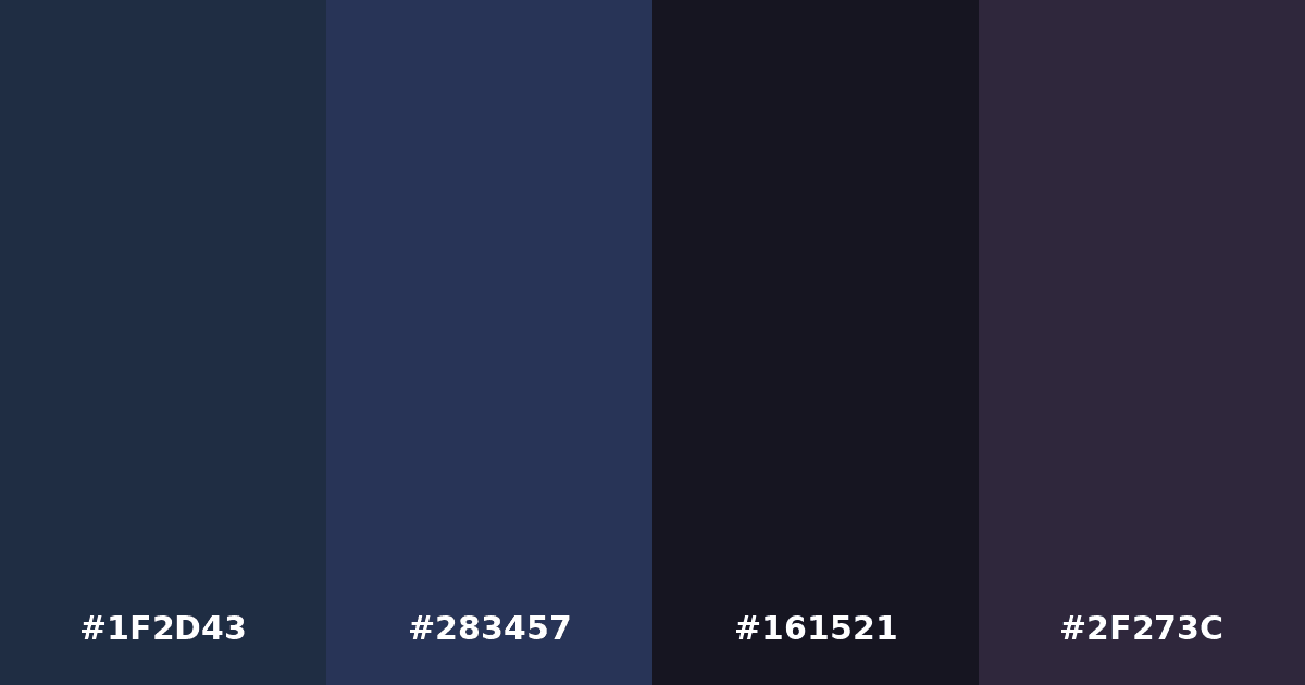 Color palette #1F2D43 #283457 #161521 #2F273C