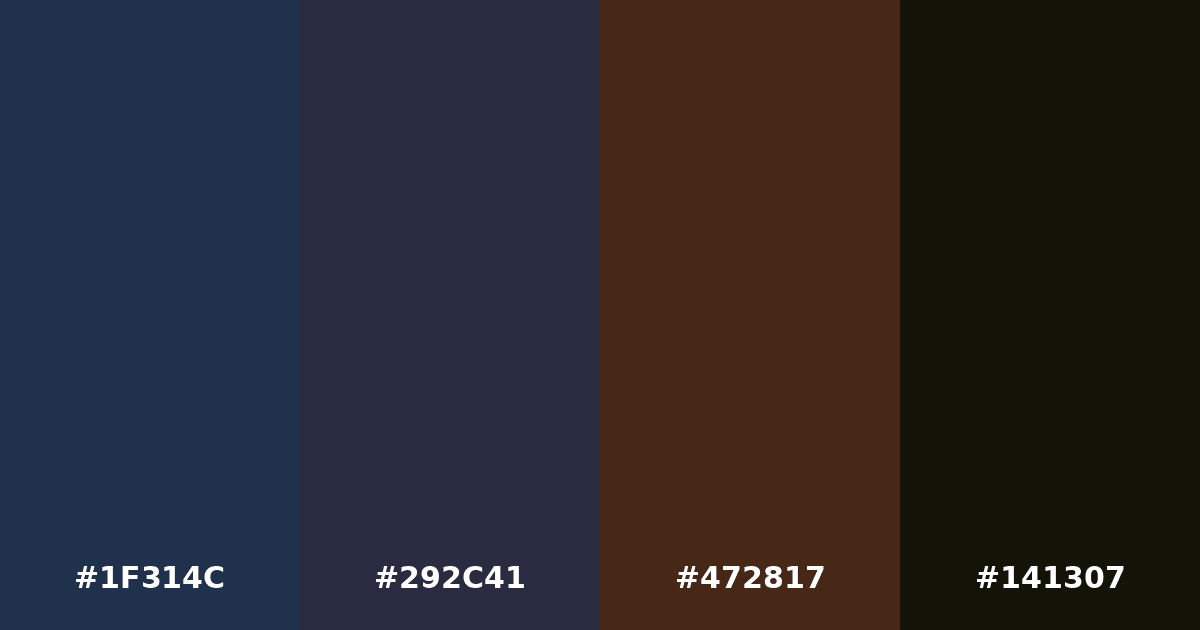 Color palette #1F314C #292C41 #472817 #141307