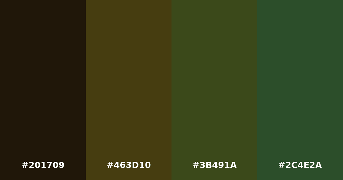 Color palette #201709 #463D10 #3B491A #2C4E2A