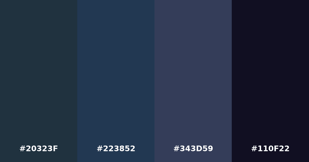 Color palette #20323F #223852 #343D59 #110F22